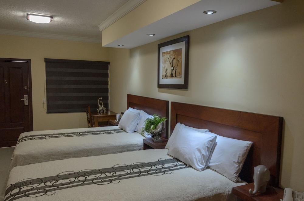 Hotel San Ignacio Inn Торреон Екстер'єр фото